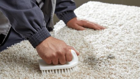 Professional Rug Cleaning Toolangi