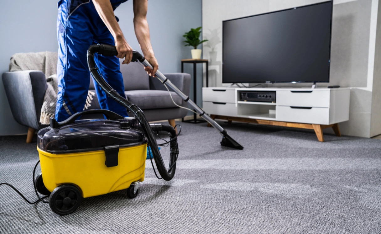 Extract Rug Cleaning Toolangi Contact Office